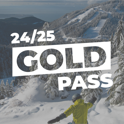 Gold Season Pass Icon 24.25