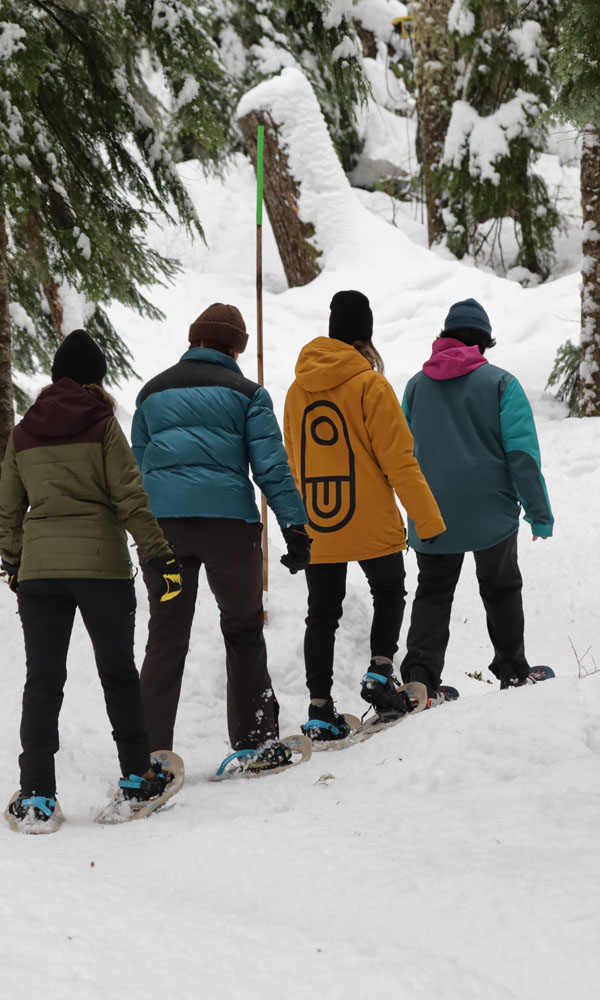 group of snowshoes