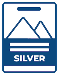 silver pass icon